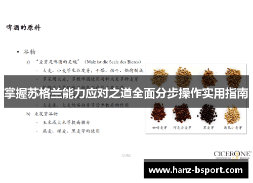 掌握苏格兰能力应对之道全面分步操作实用指南