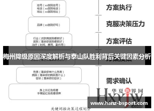 梅州降级原因深度解析与泰山队胜利背后关键因素分析 梅州降级原因深度解析与泰山队胜利背后关键因素分析
