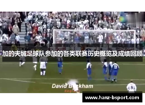 加的夫城足球队参加的各类联赛历史概览及成绩回顾