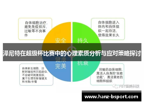 泽尼特在超级杯比赛中的心理素质分析与应对策略探讨 泽尼特在超级杯比赛中的心理素质分析与应对策略探讨