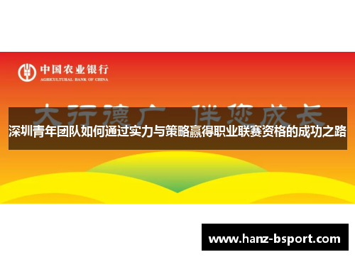 深圳青年团队如何通过实力与策略赢得职业联赛资格的成功之路