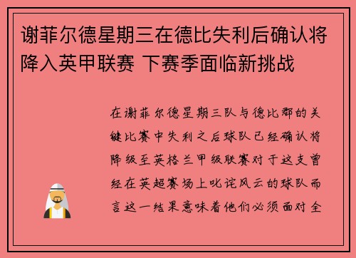 谢菲尔德星期三在德比失利后确认将降入英甲联赛 下赛季面临新挑战